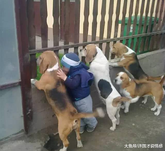 小主人本来在荡秋千，猫咪却直接爬上来，宝宝暖心之举让人感动