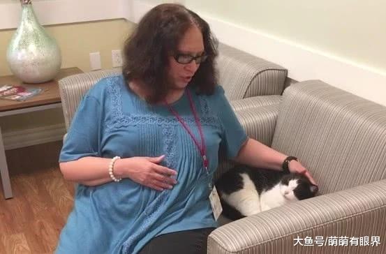 流浪猫混进单位，还得了个正规编制，喵：不靠走后门，靠本事！