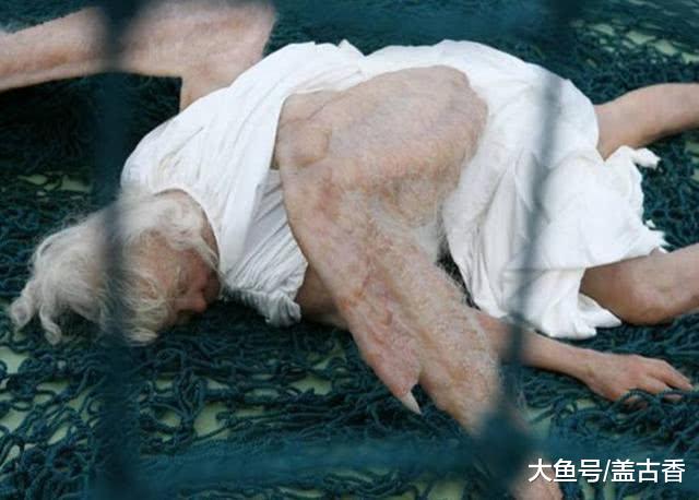 堕落天使当街展览，无数游客驻足观看，刷新对天使概念：鸡翅膀？