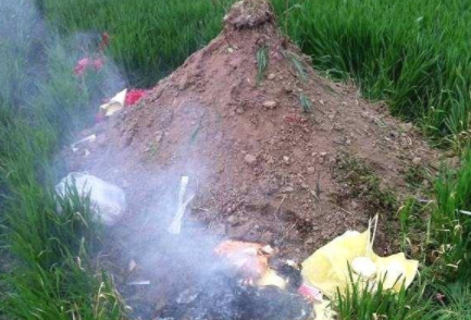 坟，墓，冢，陵都是什么意思？有什么不同？