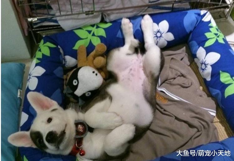 米克斯惊喜包，长大后黑轮褪色变渐层烟熏妆