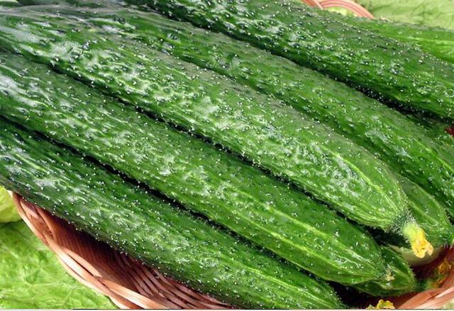 同济医学院医生：家里不起眼的“它”，抹一抹，5天痘痘全消失