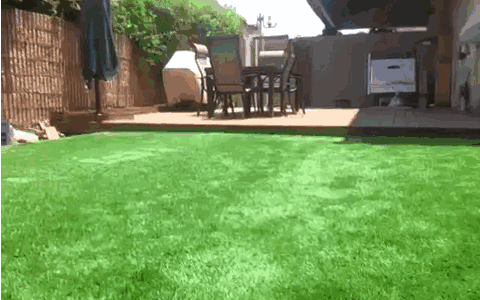 老外的趣味房，外国人的脑洞真是创意无限