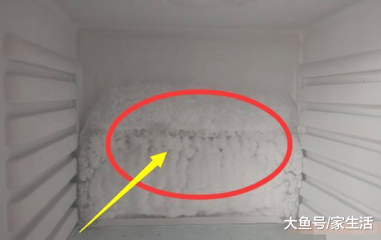 家里冰箱经常结冰，别把它不当一回事，每个月电费白交了不少