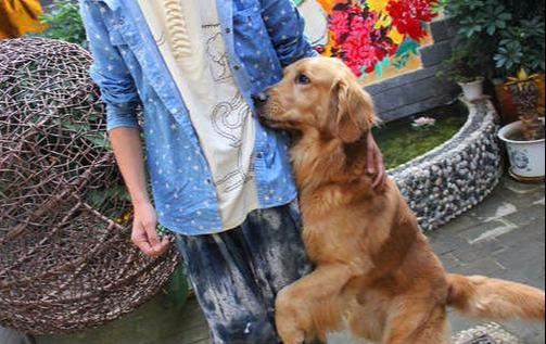 这5件事，会让狗狗伤透心，宠主千万不要做！