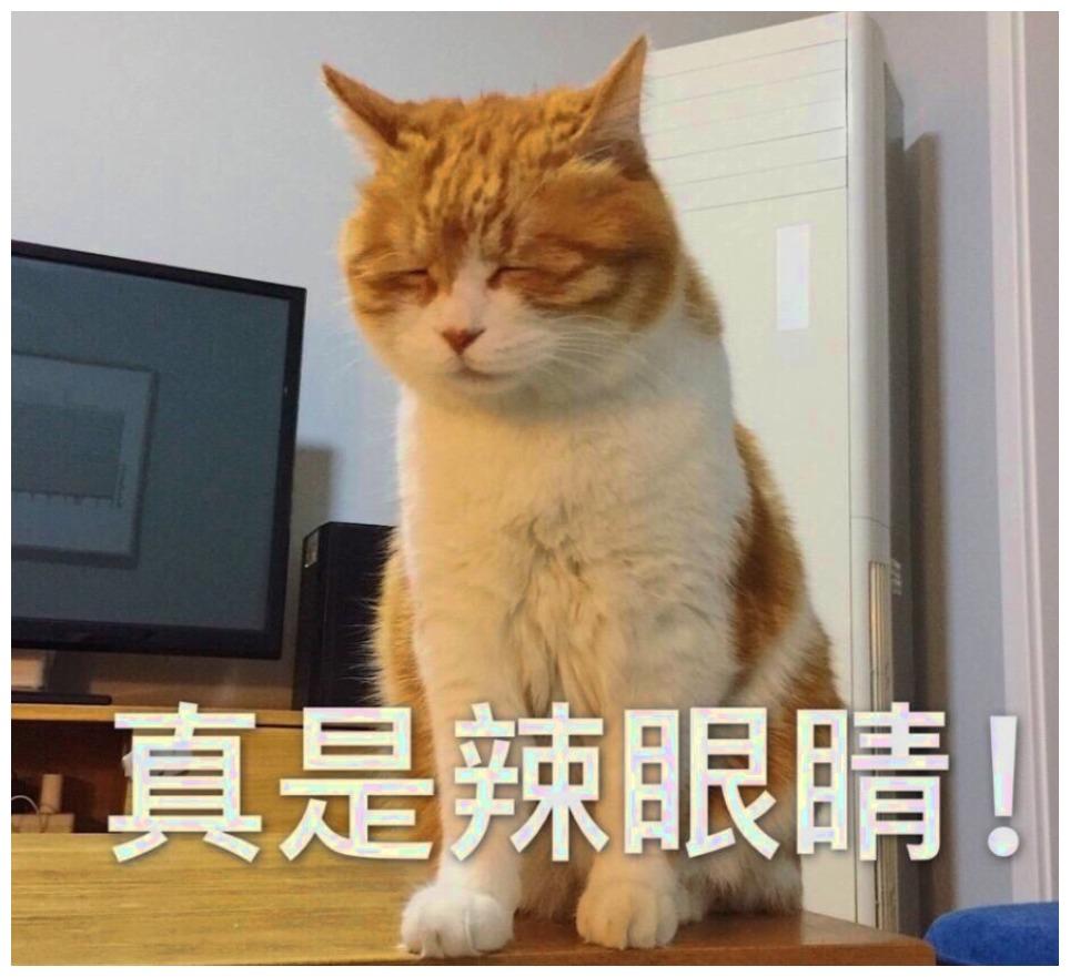 母猫深刻领会“慈母多败儿”, 小猫都长大了, 还把它当提款机
