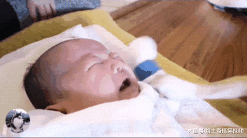 小主人出生后，柴犬就像当了妈一样，把宝宝当自己孩子了