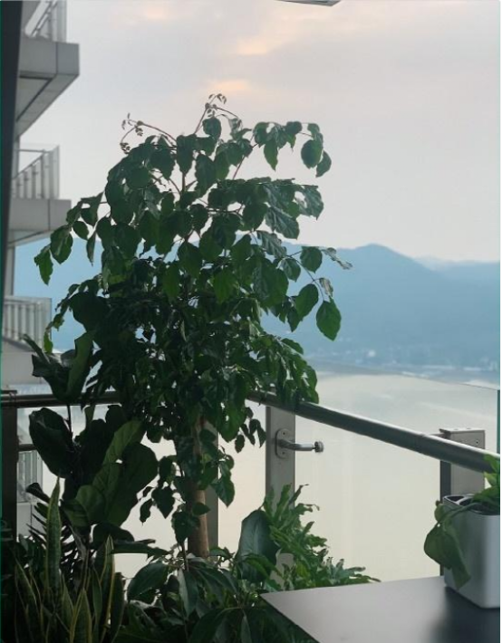 带你看看林珊珊住的豪宅，如今已经不做网红了，住这样豪华房子