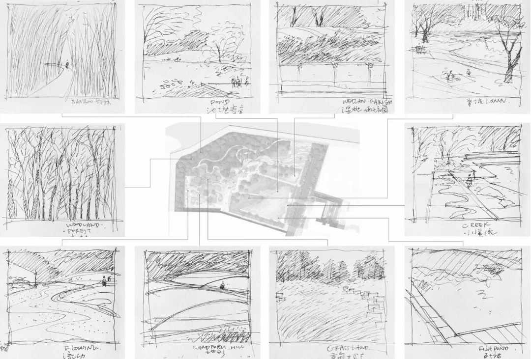 张唐又一新作 | 大鱼公园 Dory Park