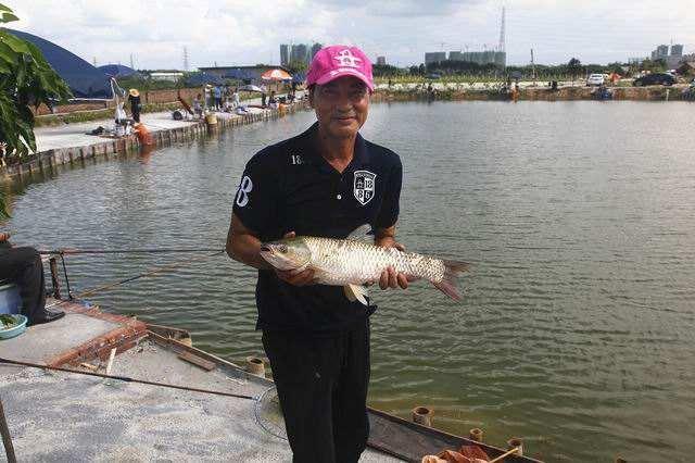 讲解一下钓鱼的实战技巧，看似简单的动作，其实含义很大你能懂吗