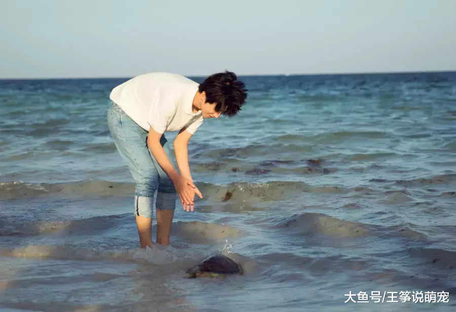 王俊凯意外露出肌肉，与黑人小哥对比很强烈，粉丝：隐藏的很深