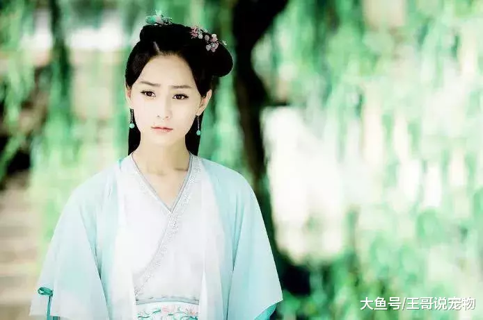 《灵魂摆渡》播出5年后：认出杨紫不算啥，谁认出“玄女”了？
