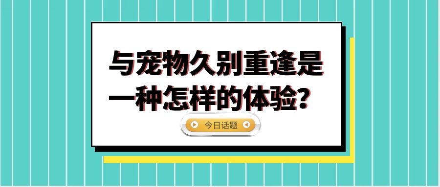 狗狗需要文明的养，这四件事就是在害它们，宠主不能做！