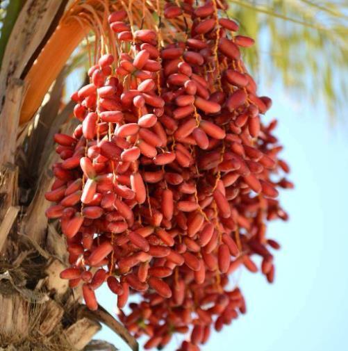 男人上了年纪，还经常抽烟喝酒，建议多吃下面几款食物，受益无穷