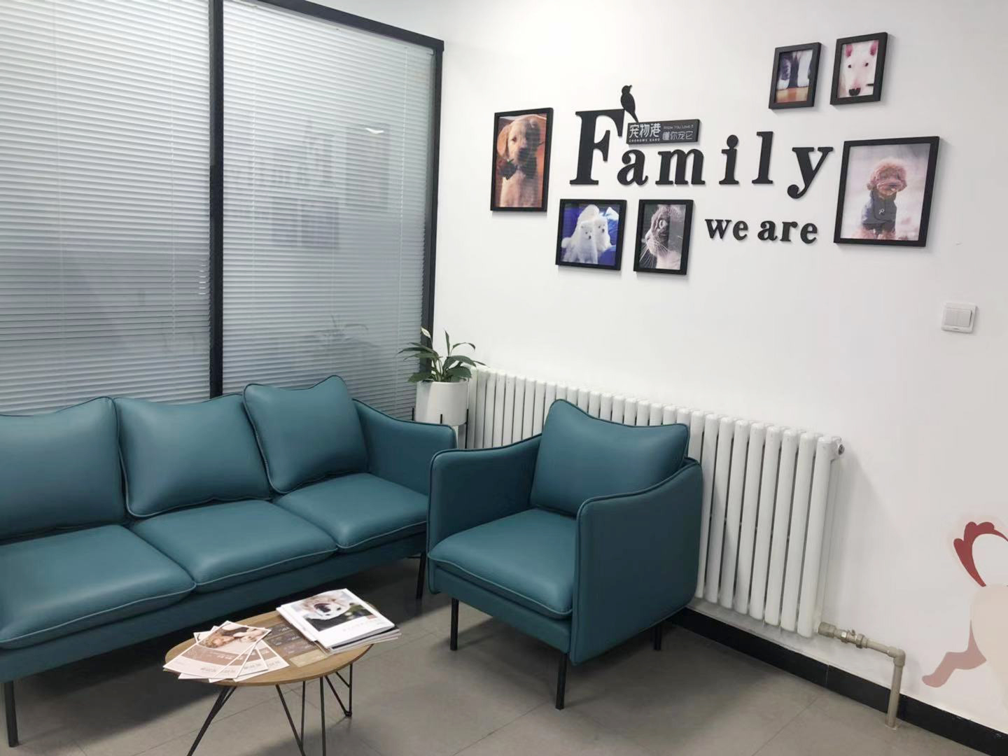 怎样做好宠物店的市场调查