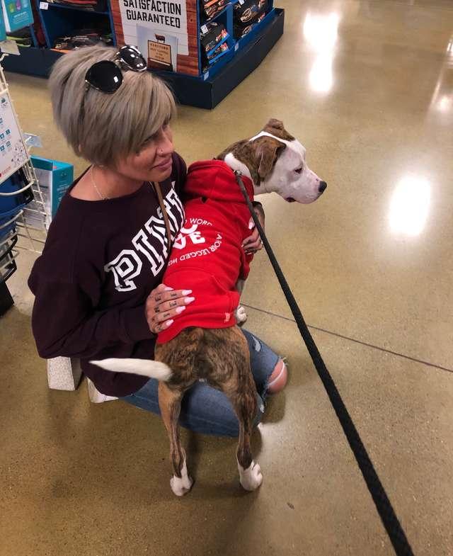 送外卖遇乖巧比特犬，她决定收养它，儿子也特别喜欢这只狗狗