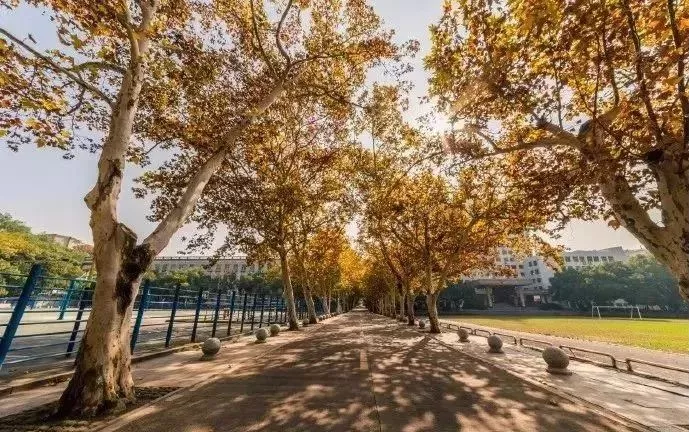 再见了，中南大学！