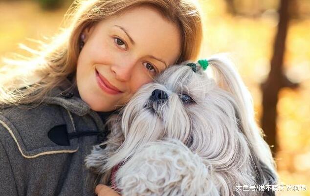 不瞒你说：家里养狗的5大好处，你不一定清楚！