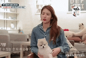 原来小狗狗扎辫子的时候是这样的