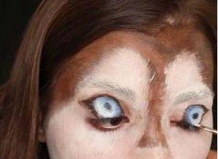 女主人化妆成自家二哈的样子，二哈看了一脸懵逼：这是我大兄弟？