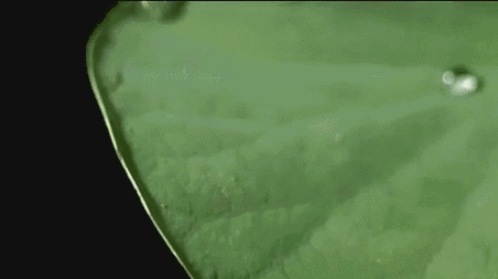 厉害了！纳米黑科技防水防污，弄不脏的白衬衫获中科院专利技术认可！