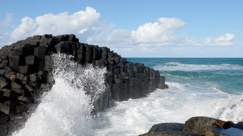 大脑|大脑爱胡思乱想，睡不着，怎么办？