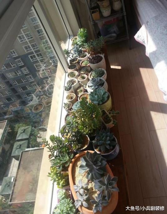 晒晒我的40平蜗居，进门就是灶台，床在客厅里，有比这更小的吗？