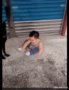 黑汪化身萌弟的专属保镖！每走2步坚持贴身护送黏紧紧