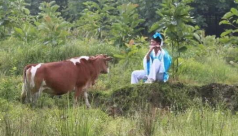 刘伯温早年游学，碰到朱元璋躺在地上，为什么就能预测他成为皇帝？