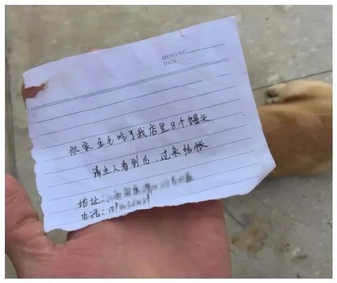 狗子私自跑去吃白食，带回讨债字条，主人看后荷包疼！
