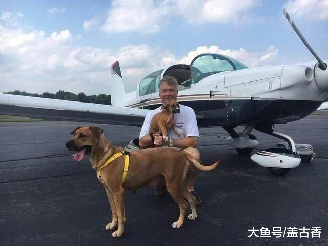 救援组织对狗妈妈伸以援手，现在被领养的奶狗画风大变！