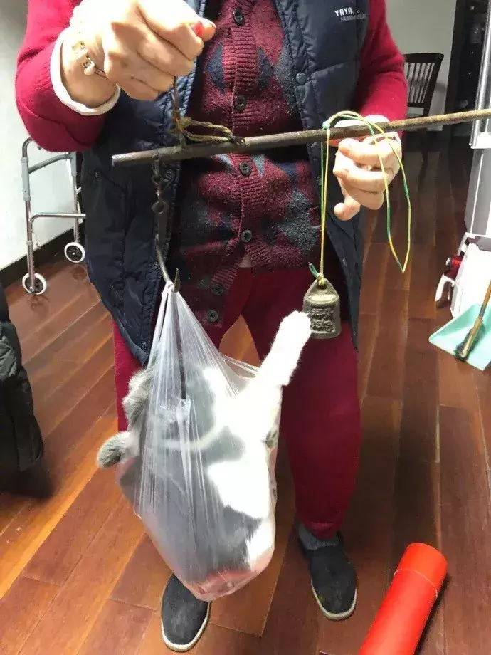 还好这张动图短，不然就悲剧了