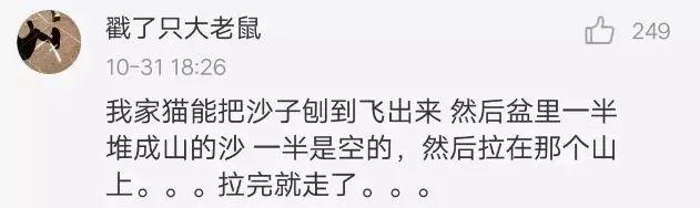 你家貓是智障嗎？進來測一下就知道！