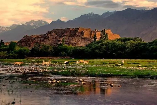 我国唯一白人聚居地，美女泛滥成灾，严禁与外通婚