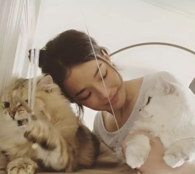 鏟屎官對貓咪過敏，可過敏源不是貓毛，主人做好五點就能不棄貓！