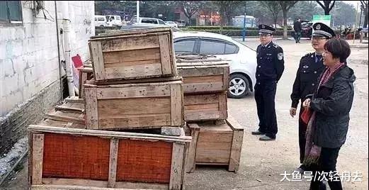 ＂8箱翡翠毛料扔路边4个月都没人领，翡翠已经掉价成这样了？＂