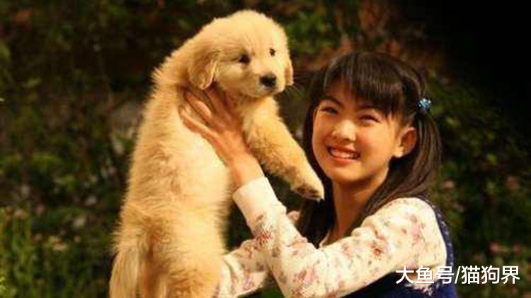 《我和狗狗的十个约定》：哪十个约定？