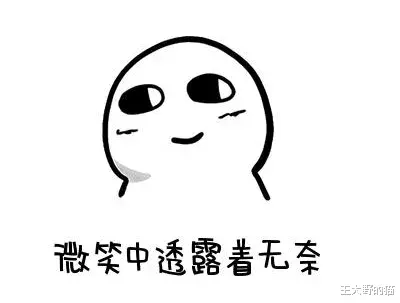 铲屎官：猫咪总是把屁股对着我是什么意思？我该如何回应它呢？