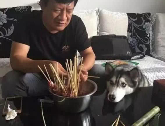 出差几个月回来接二哈，却被老爸拦住：你可以走，狗留下