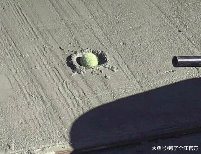 生理期的生物果然易燃易爆炸，包括狗