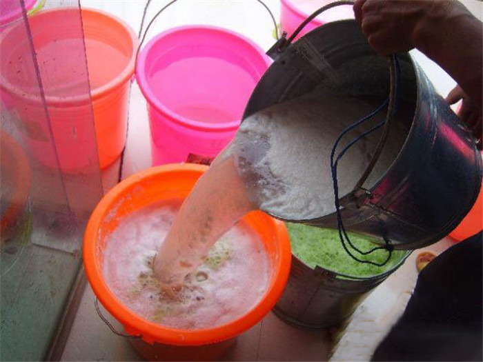 赛鸽健康成长，加强体质的小技巧——果蔬汁