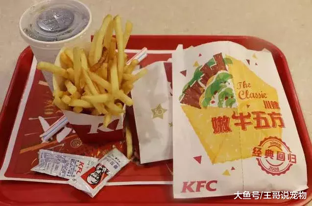 肯德基餐盘上为啥总放一纸？不是让你挤番茄酱用的，用错就丢人了