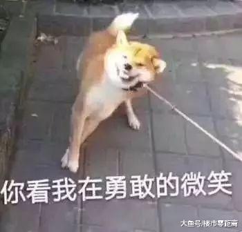 一手好牌被打烂! 好好的住宅做成了“公寓”, 一天卖不出2套! 河西老盘硬核不起来...