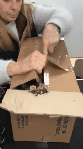 11只猫咪被主人无情抛弃，它们在箱子里面瑟瑟发抖，差点憋死……