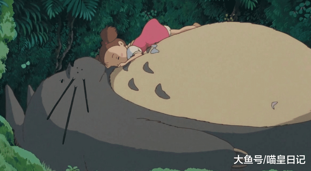 从濒临灭绝到被宫崎骏捧红，软萌温顺的龙猫，差点与人类彻底分手