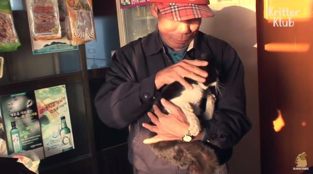 猫的报恩！主人被困火场，猫咪冲回去嚎叫，5分钟屋顶倒塌