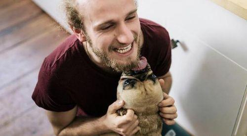 你家狗是不是很愛舔人？但過度舔人行為主人要及時制止，不能縱容