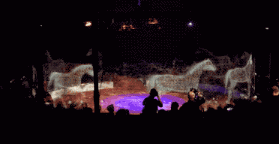 马戏团用它代替动物表演，野生动物保护事业又迈出一大步