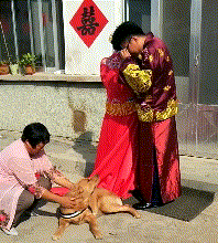 主人出嫁，狗子舍不得，它选择这样做，看哭！