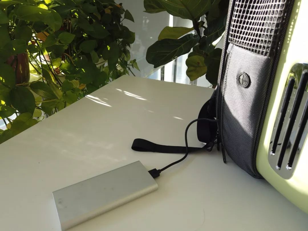 评测|小佩新出的新风太空舱猫包，可以避免闷死猫吗？